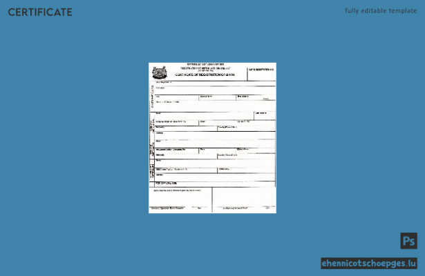 Singapur: Geburts- und Sterberegister – Beispiel einer Geburtsurkunde (Vorschau)